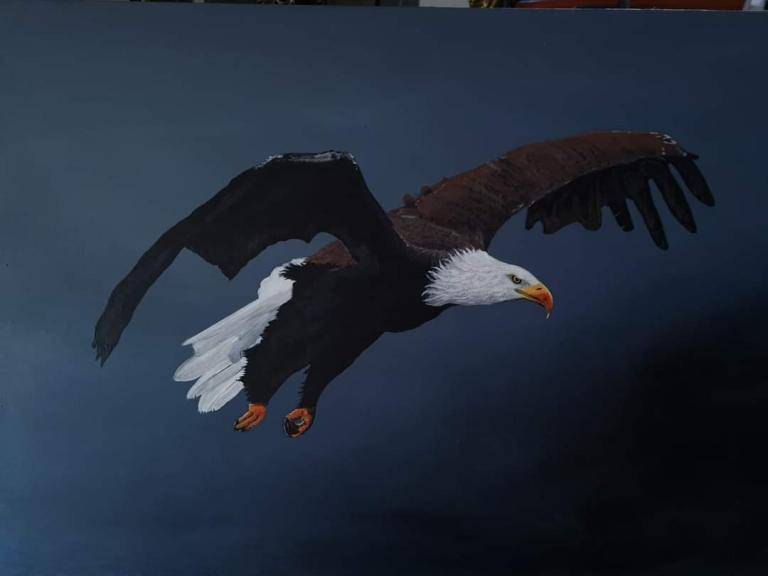 Let's fly image
