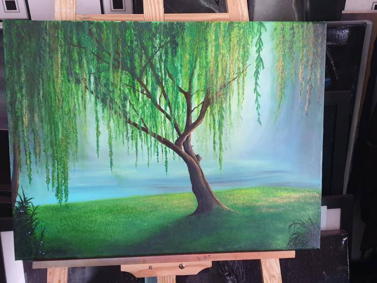 Weeping willow  image