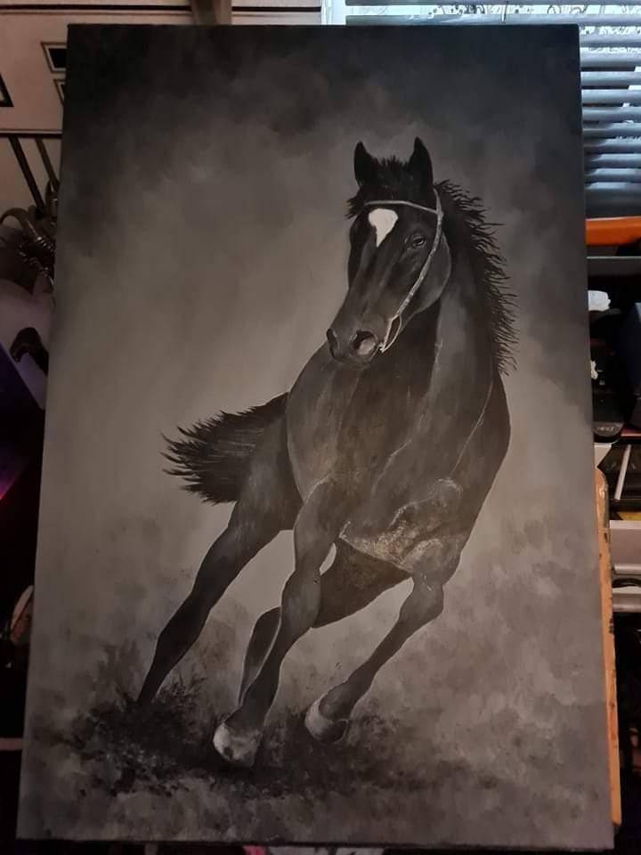 Black horse  image