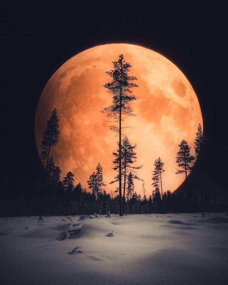 Orange moon image