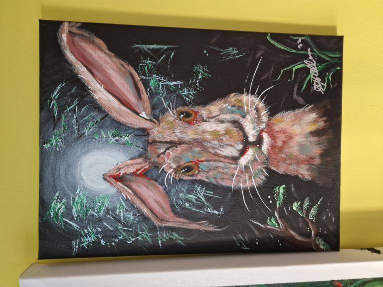 Night hare image