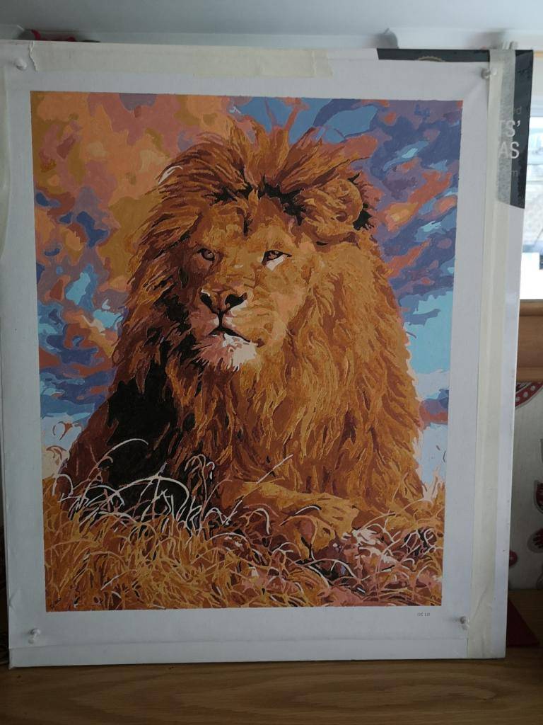 Lion King  image