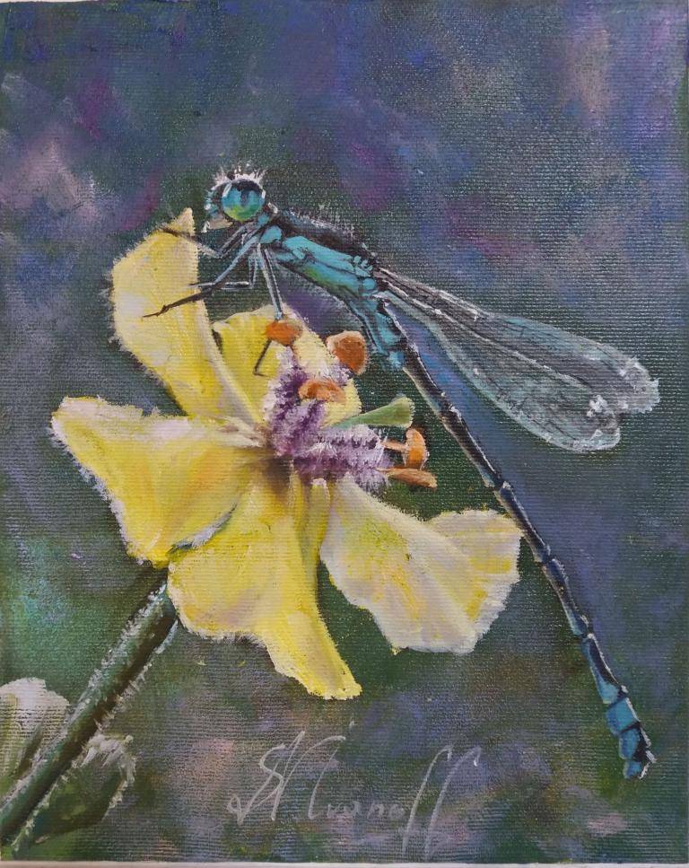 " dragonfly" image
