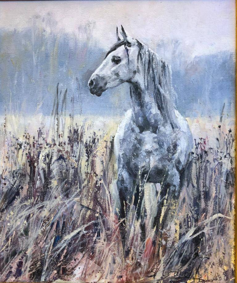 "Silver horse" image