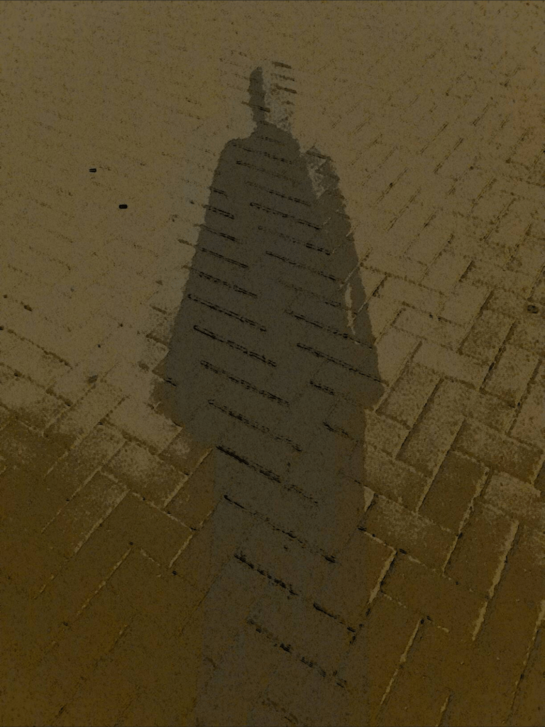 Living true my shadow image