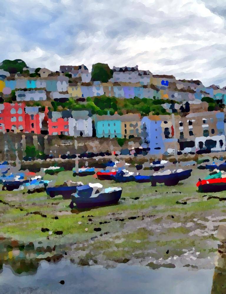 Totnes Harbour image
