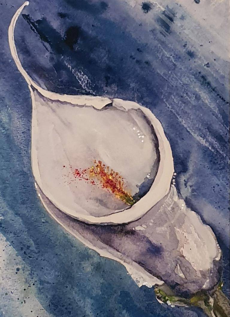 White lily image