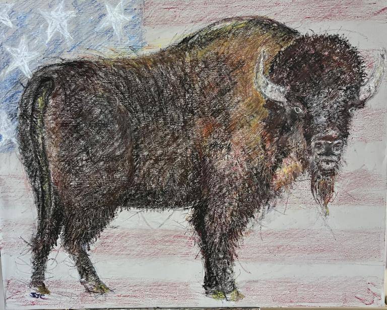 American Buffalo image