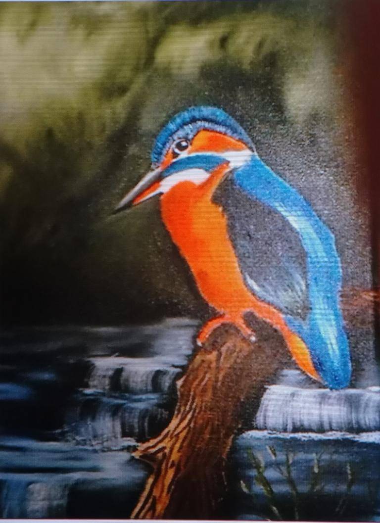 The kingfisher  image
