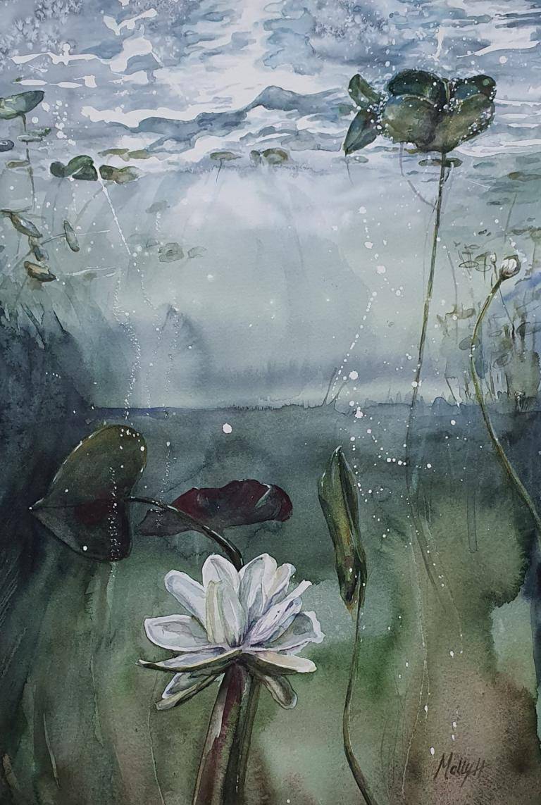 Water and lilys, 600sek image