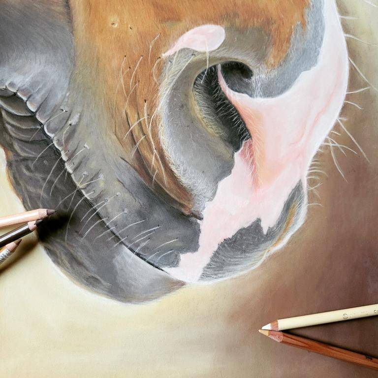 Jack's Nose image