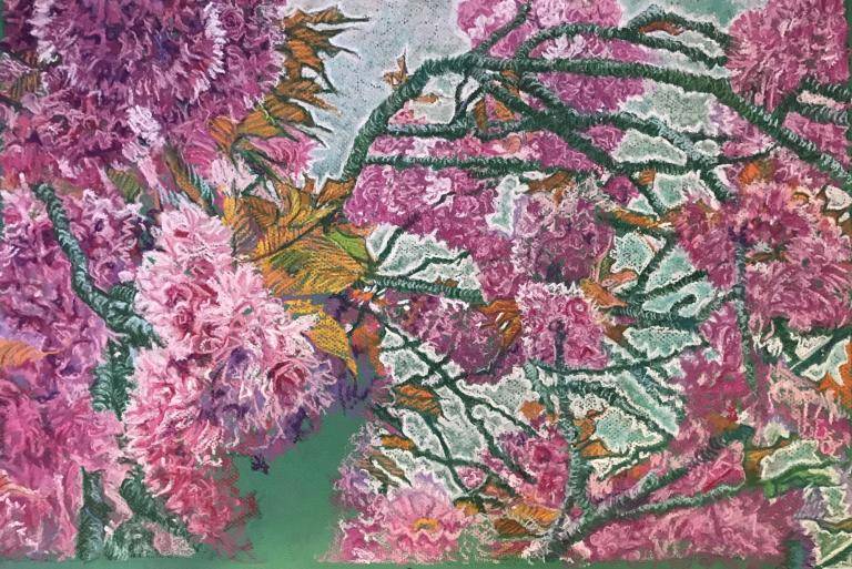 Cherry Blossom  image