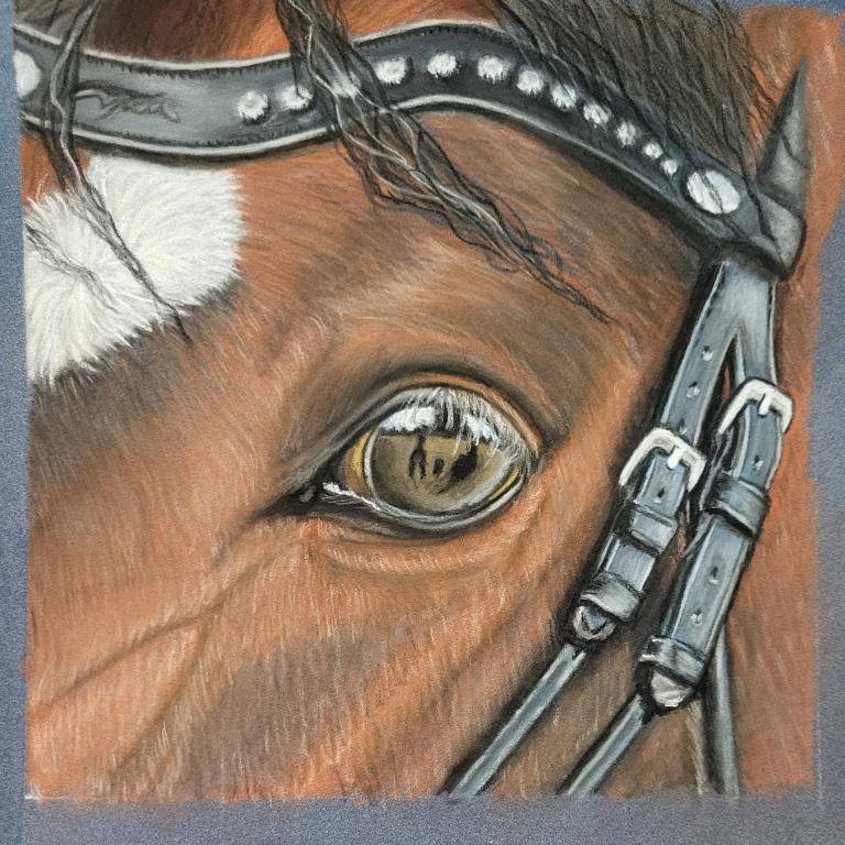Horse and Bridle image