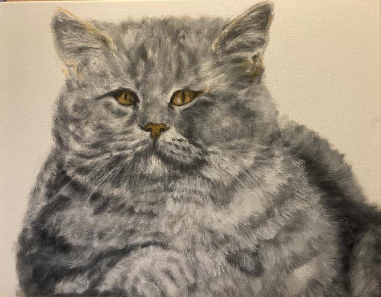 Poes image
