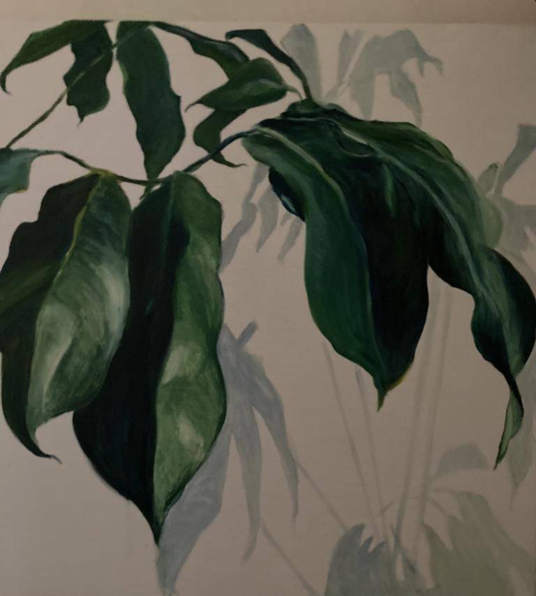 Plant image