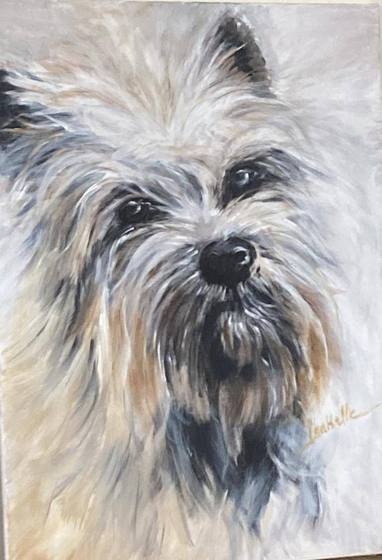 Hond image