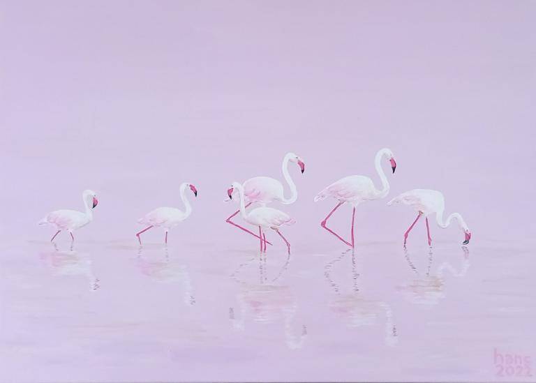 Flamingo's image