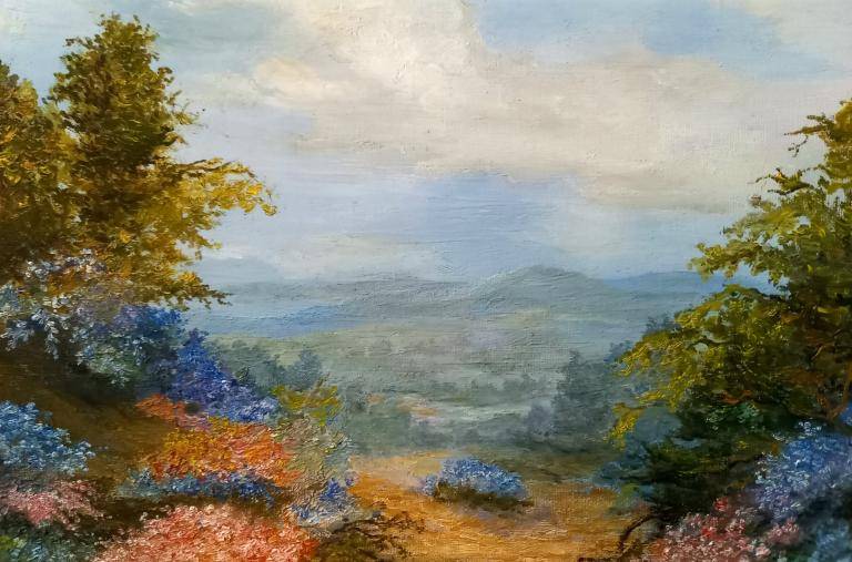 Landschap met uitzicht op de bergen en een dal image