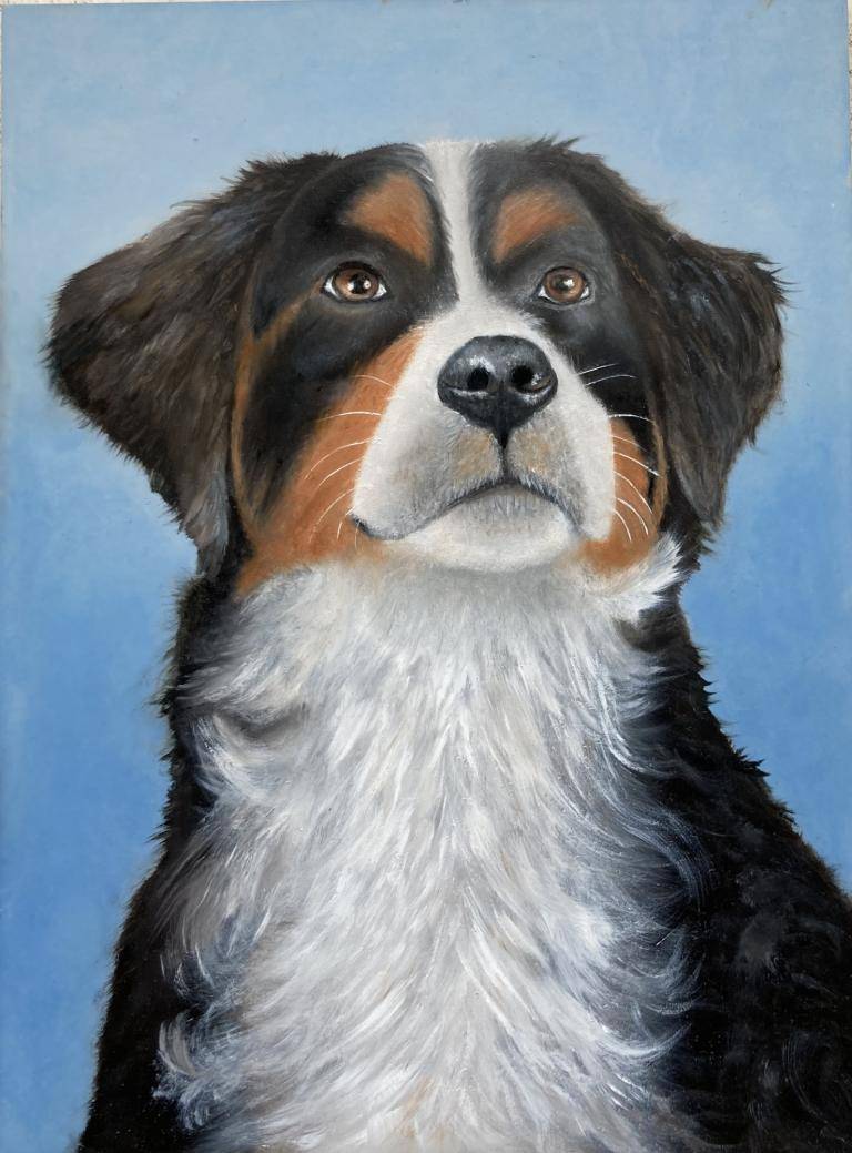 Berner Sennenhond image