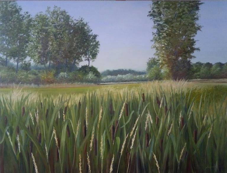 Gaverzicht image