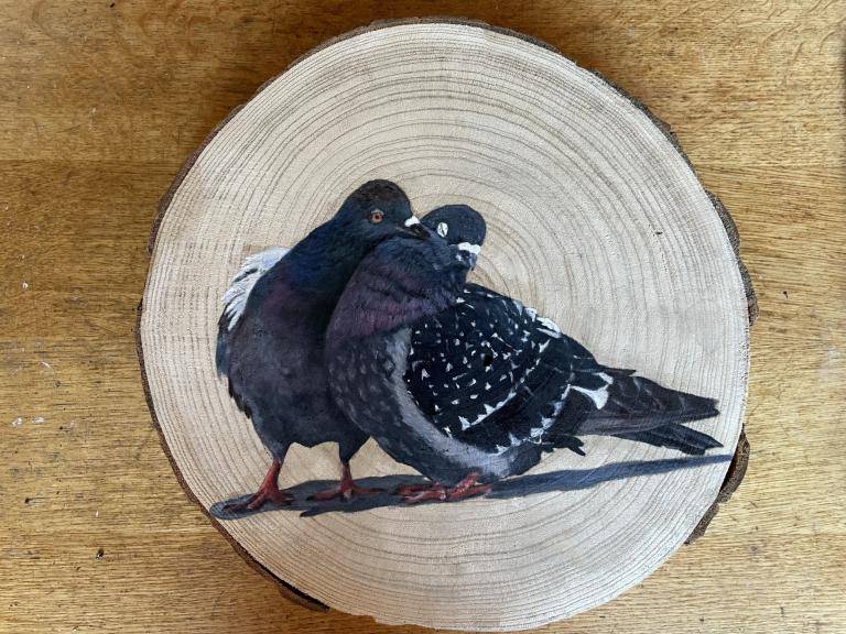 Loving doves  image