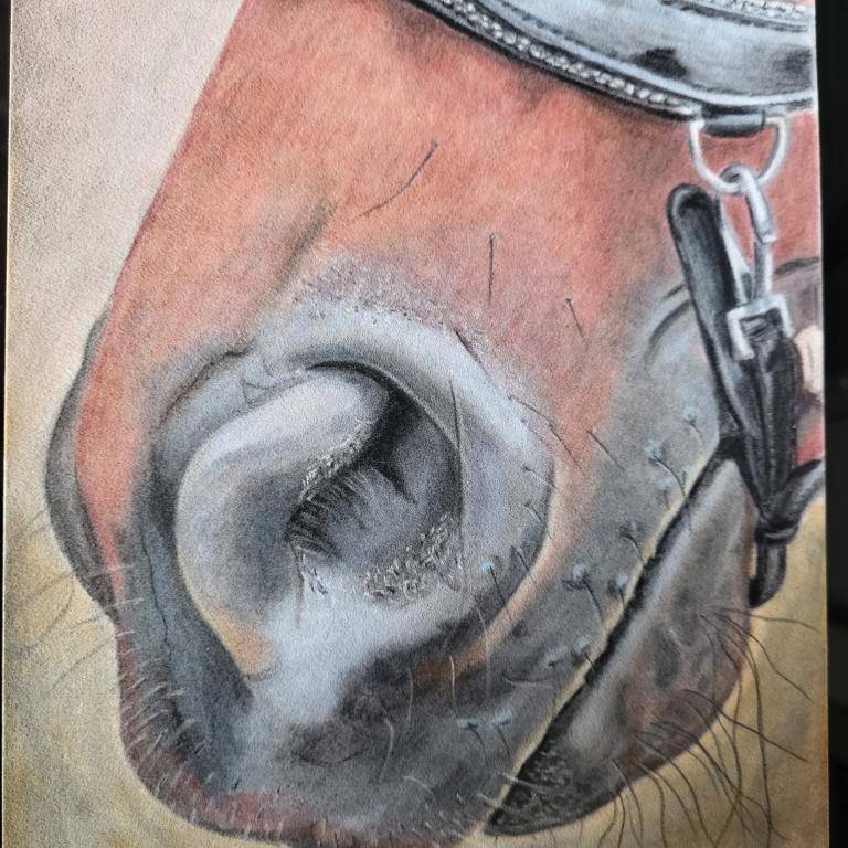 Milaan's nose image