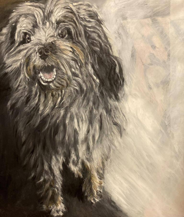 Hond image