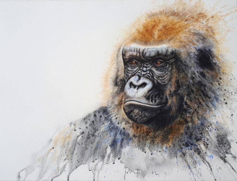 Gorilla ~ Doubt or trust ~ image
