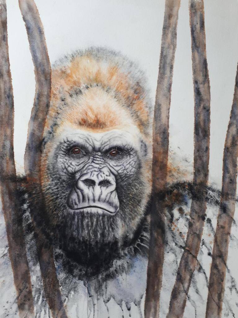 Gorilla image