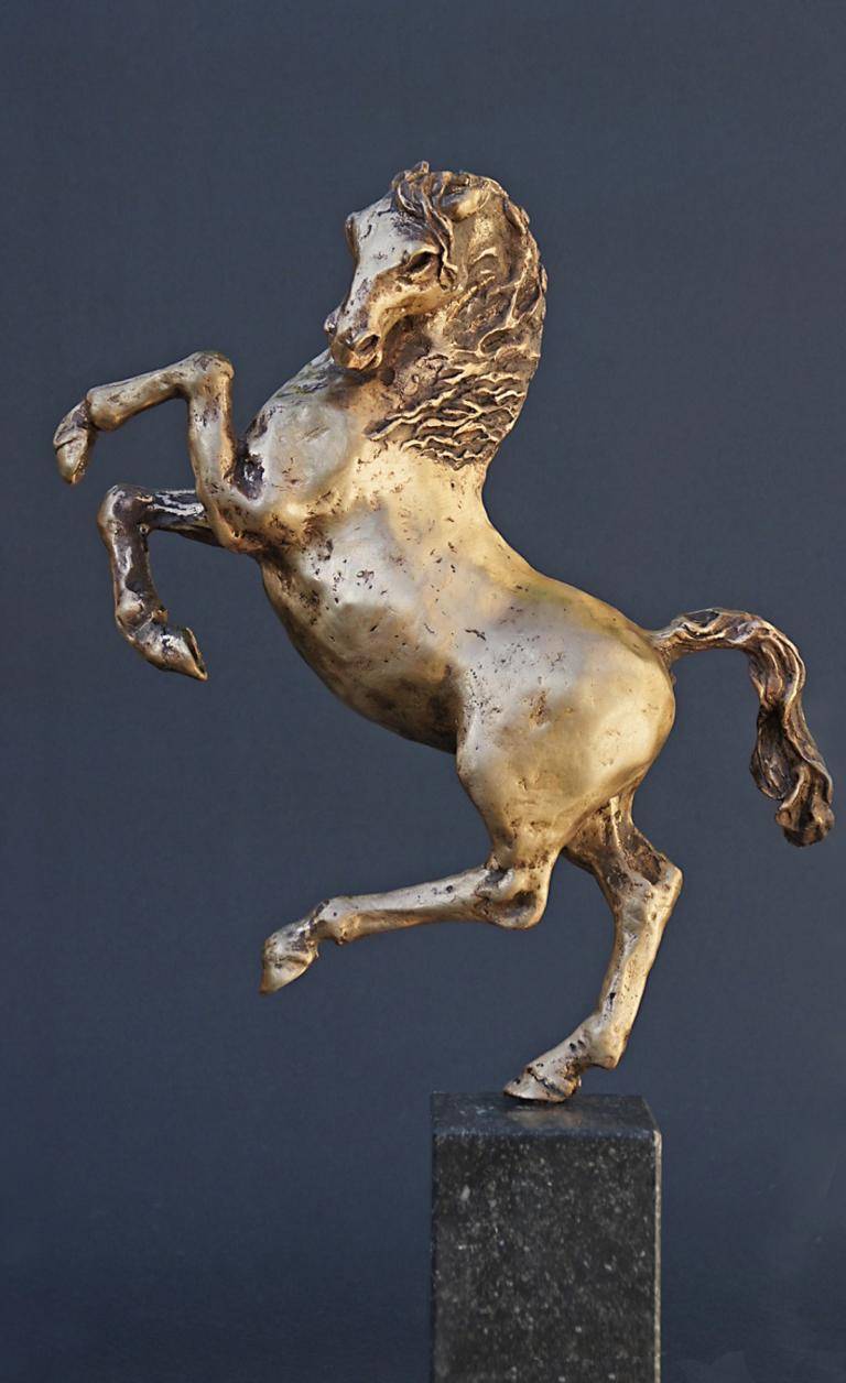 Stalion image