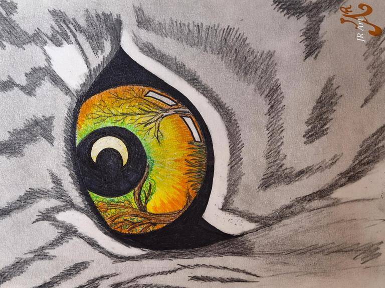Door het oog van de Tijger image