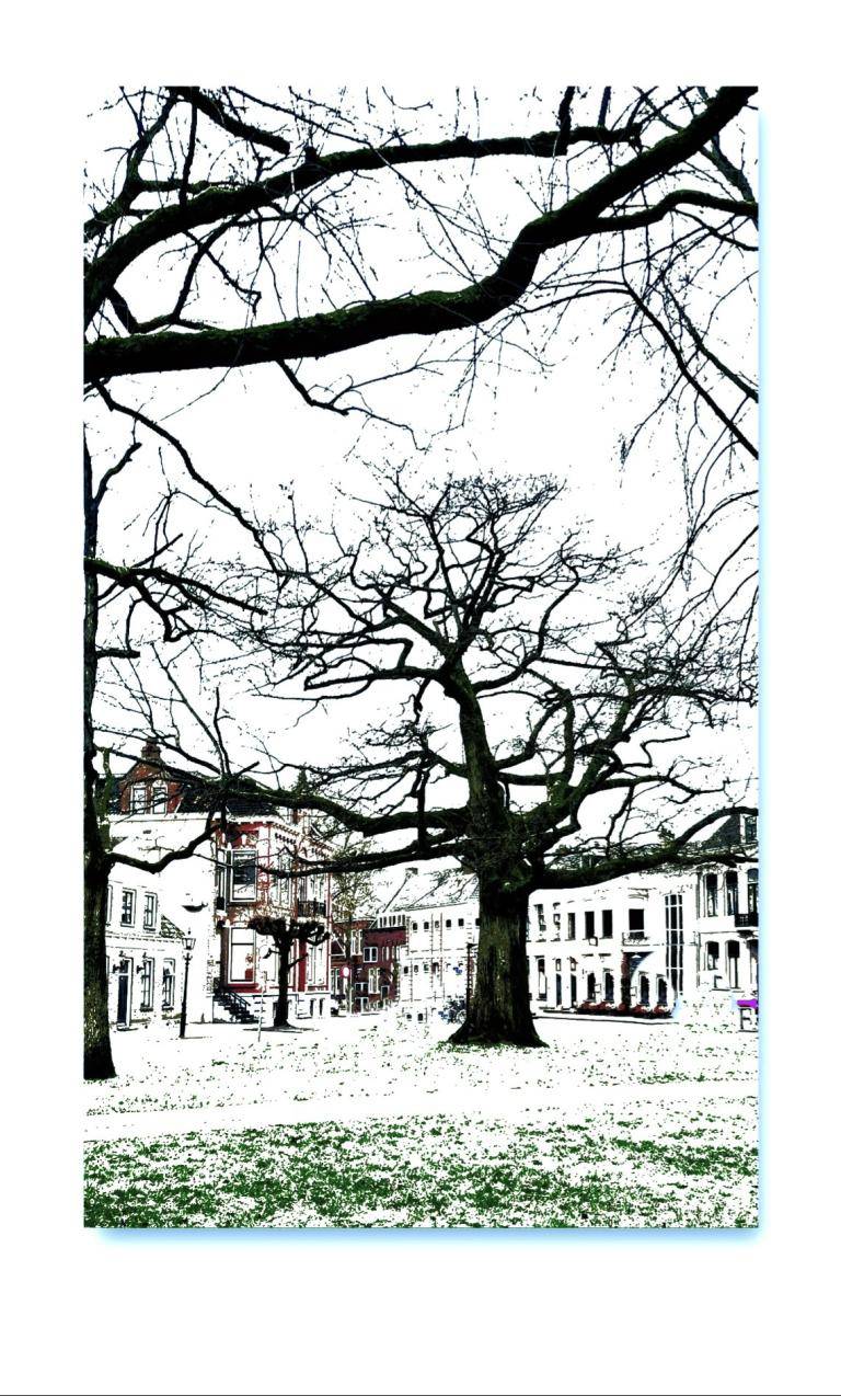 Assen slaapt image