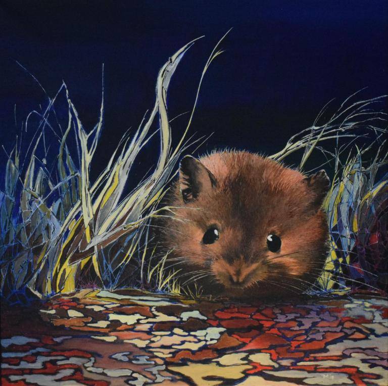 Verlegen muis image