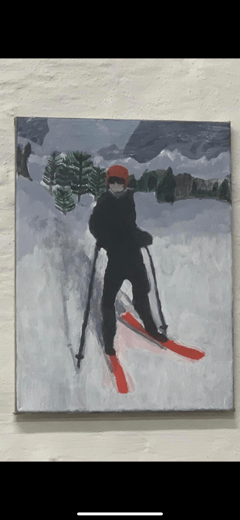 skiing and fun image