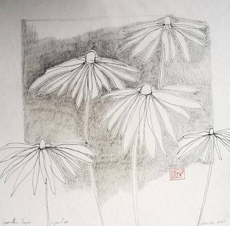 HANA (flower)  image