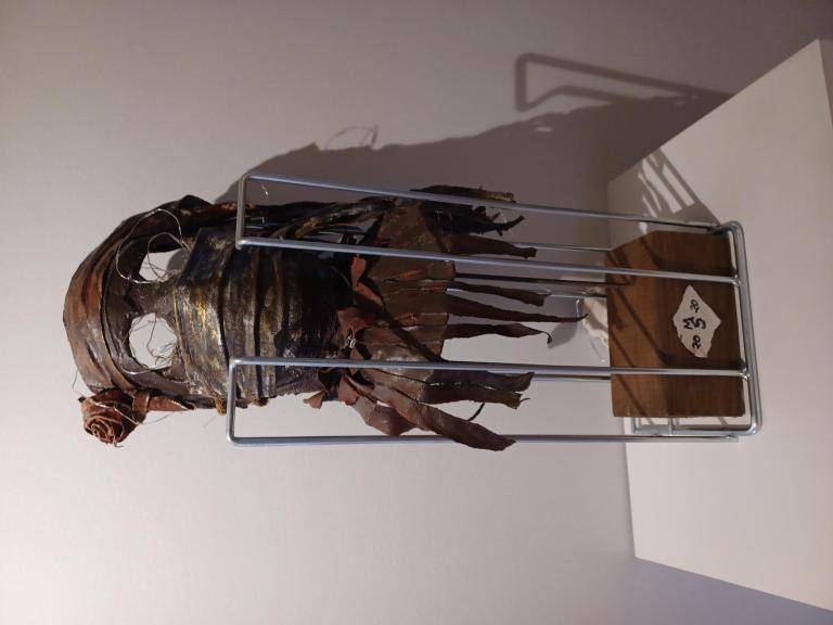 Er is hoop na de covid image