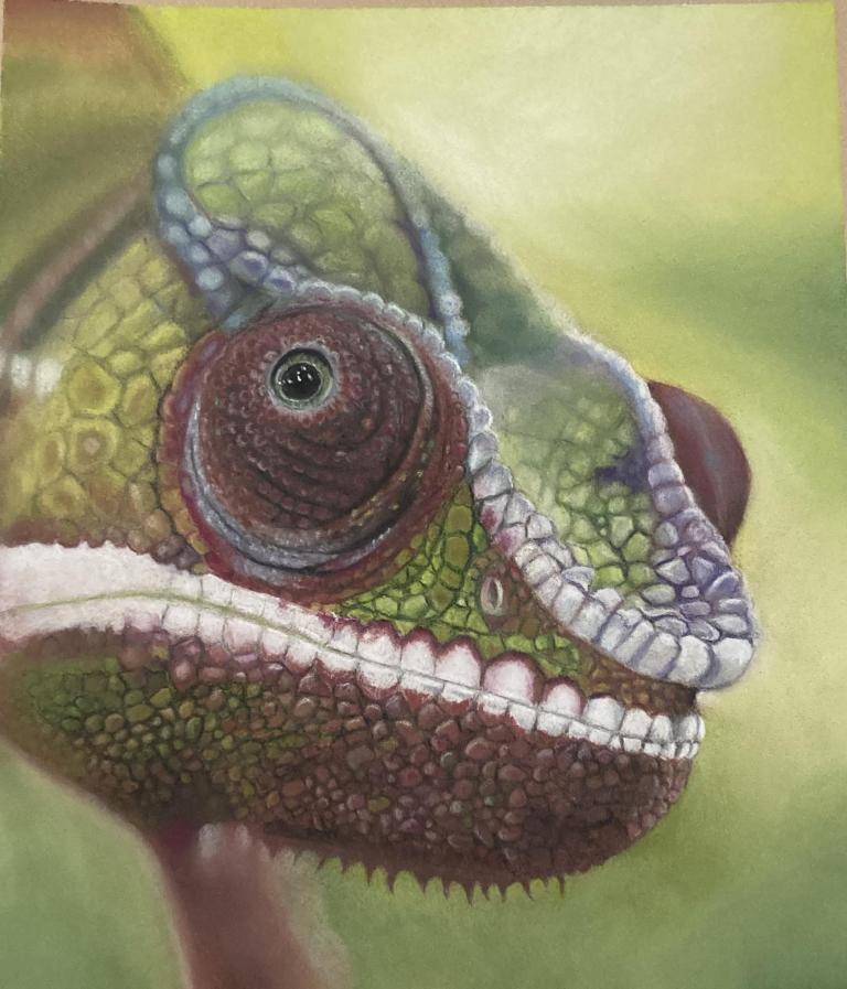Kameleon image