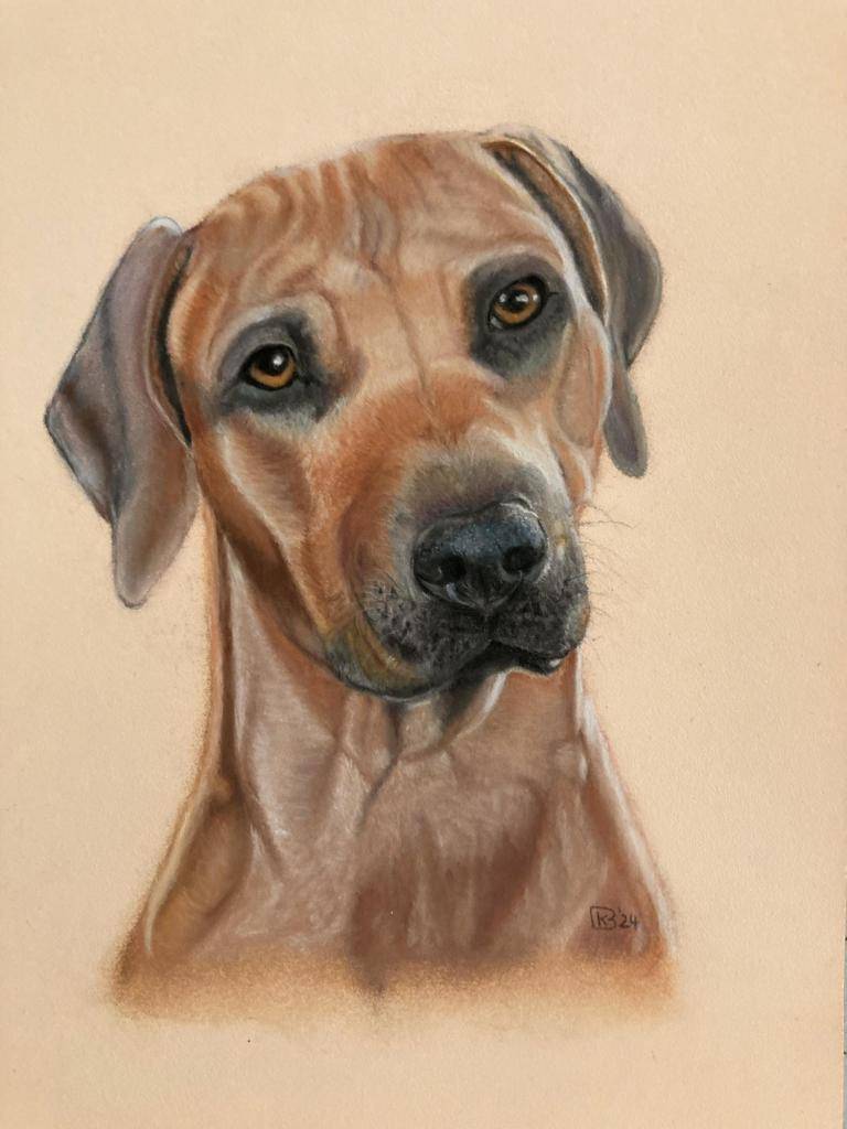 Hond image