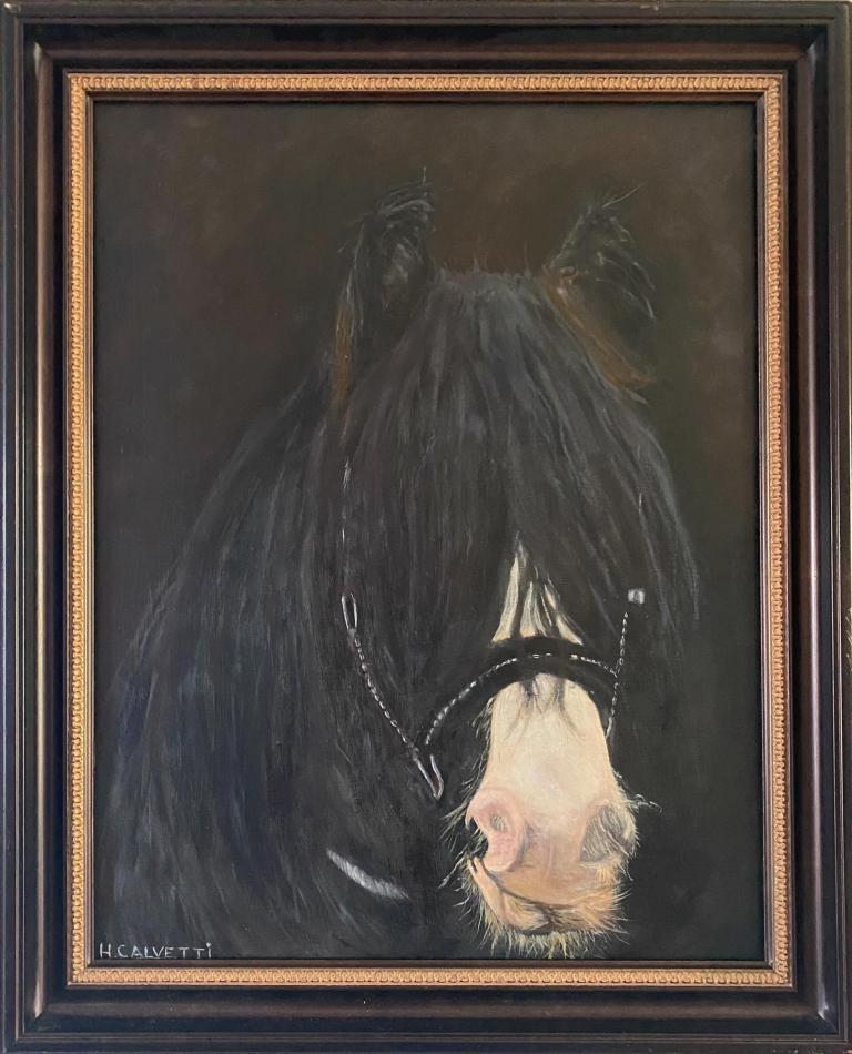 Irish Cob "Tinker". image