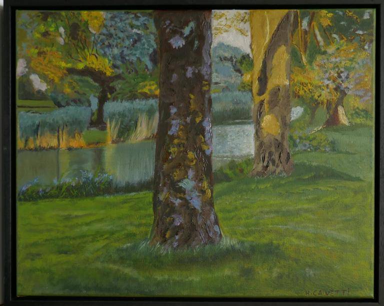 Vijver in Hornmeer (Aalsmeer) image