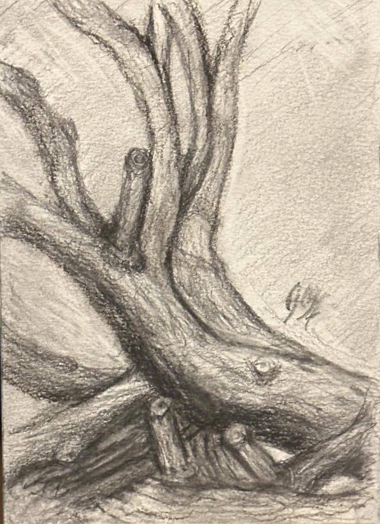 Tree trunk image