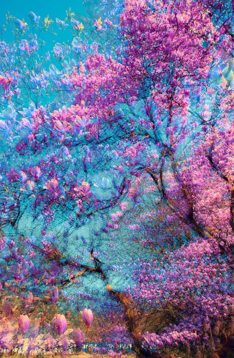 Ethereal Blooms in Blue #5 image