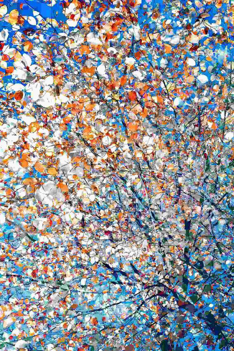 The movement of colors is the breath of the wind#5 image