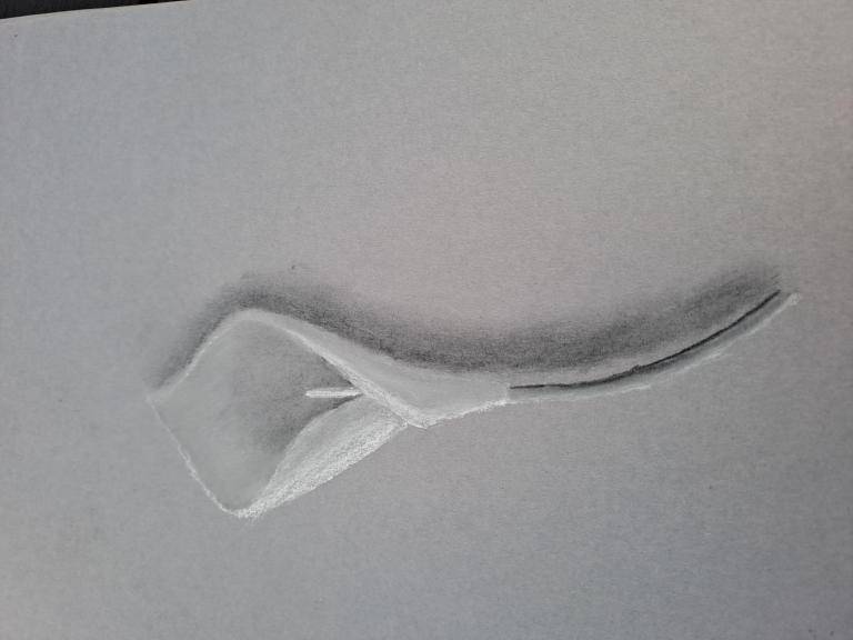 Calla flower image
