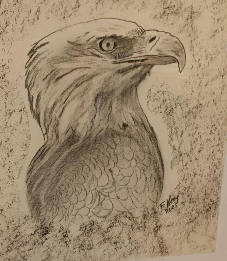 Adler image
