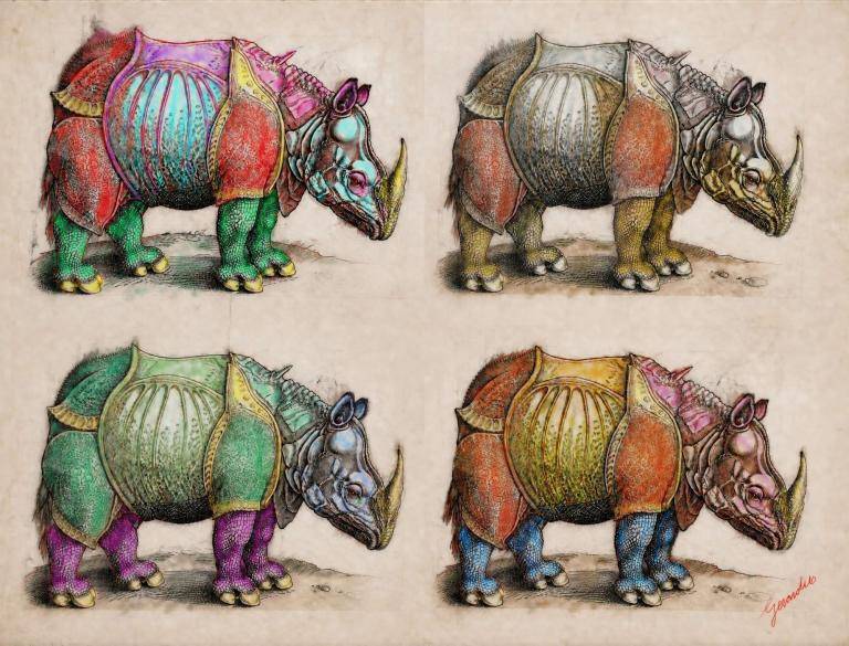 Rhino Quartet image