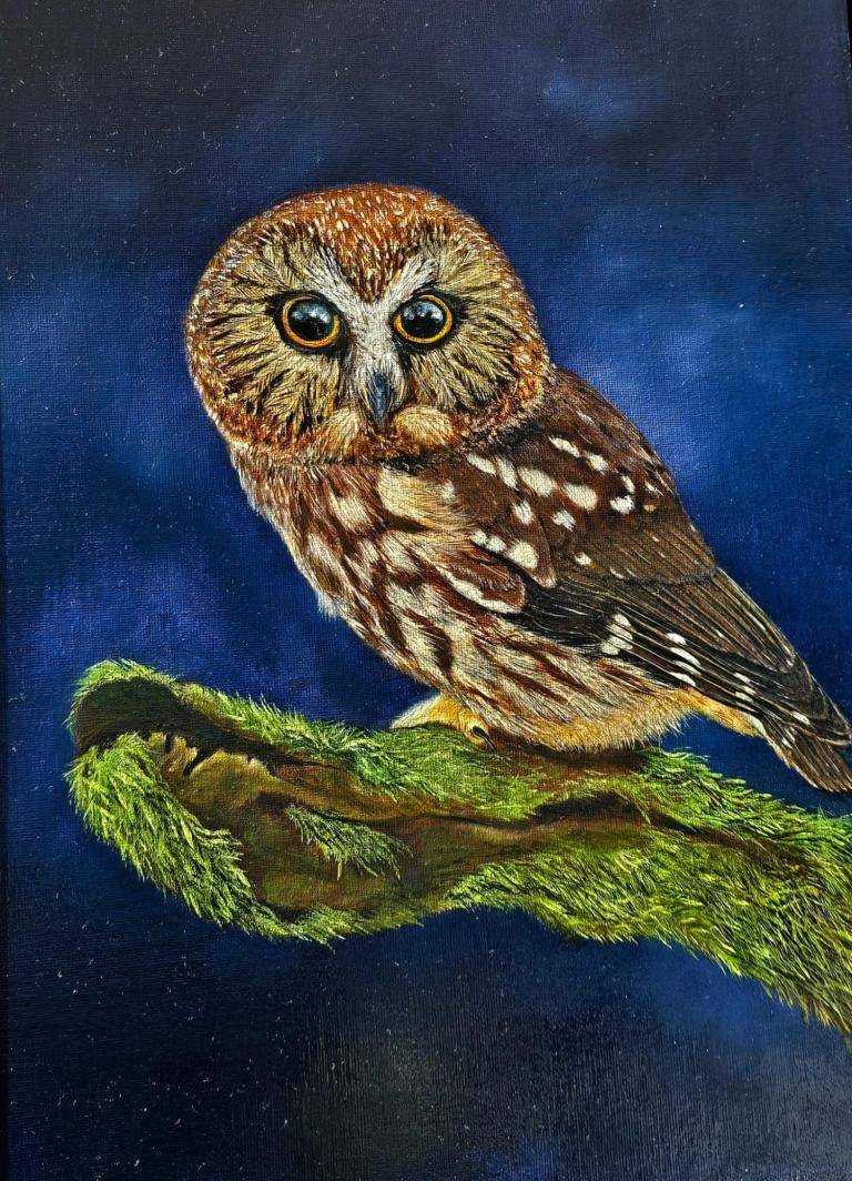 Kleine uil  image
