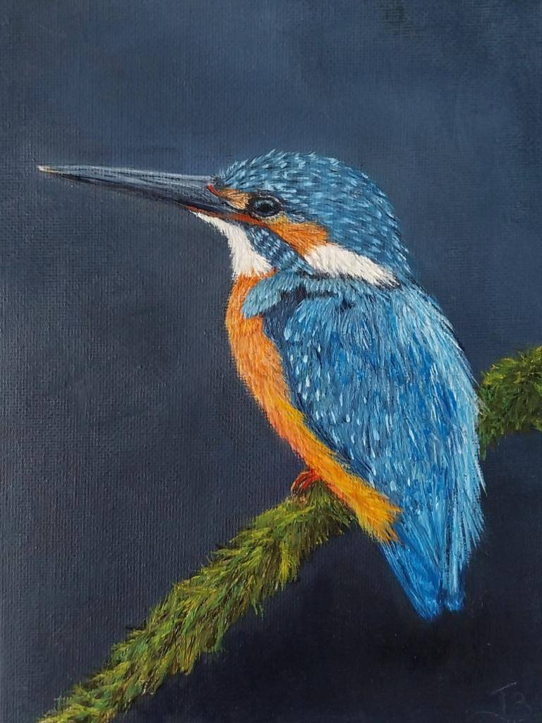 PIjsvogel image