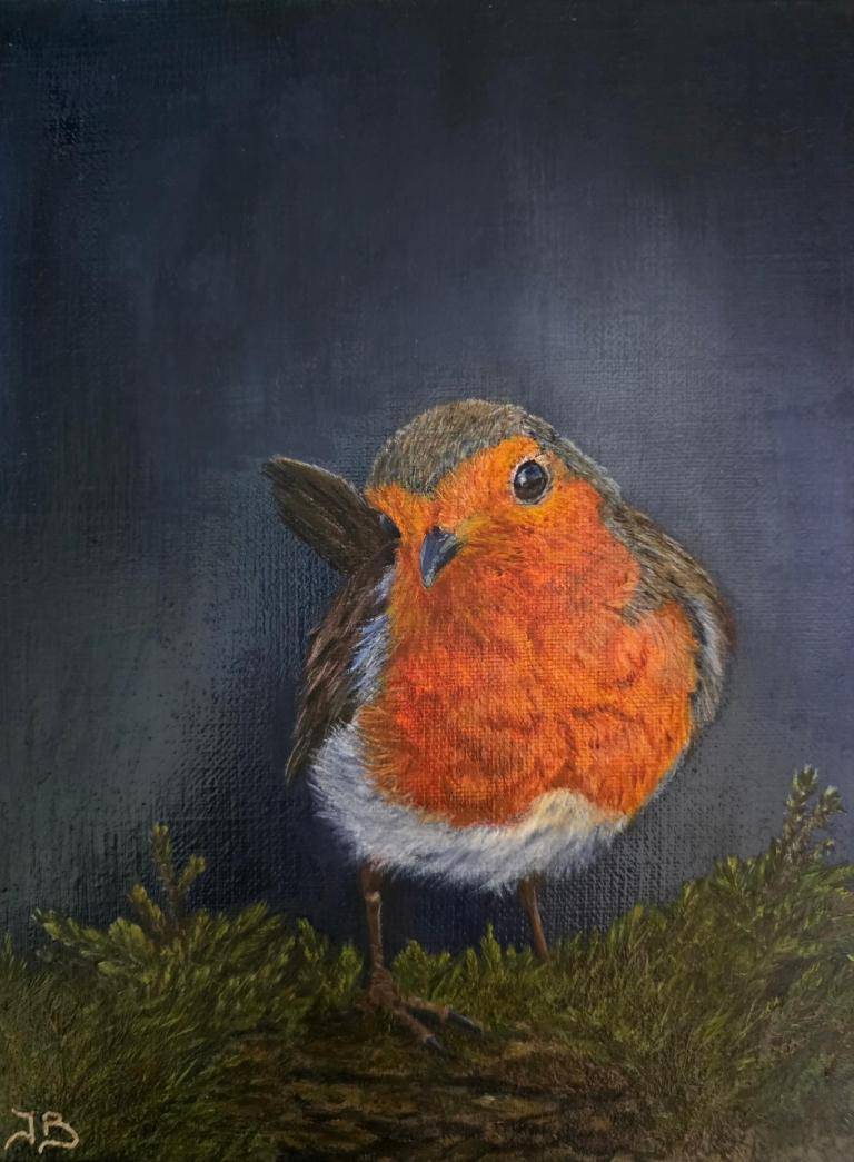 Robin image