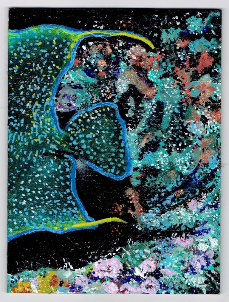Hidden beneath the waves 0 - What connects us? image